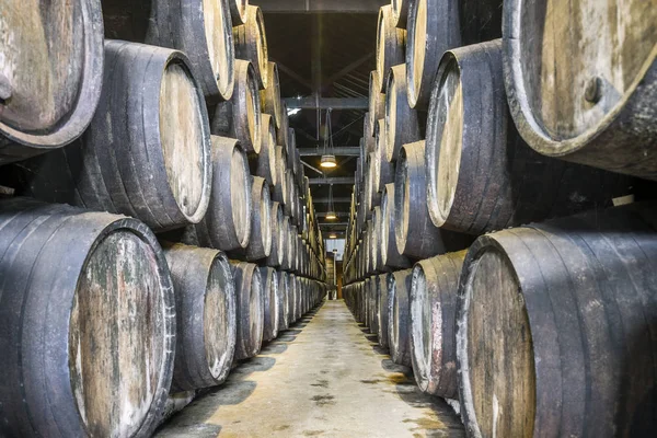 Abundância de barris de vinho na área do Porto, Portugal — Fotografia de Stock