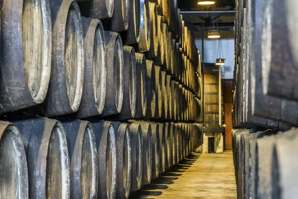 Spousta sudů na víno v oblasti Porto, Portugalsko — Stock fotografie