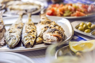 Mangalda deniz levreği, altın, istavrit toma ile eşlik