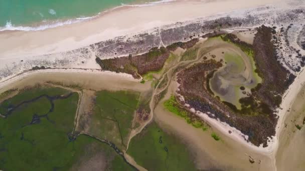 Αεροφωτογραφία Του Όμορφη Ria Formosa Στο Algarve Πορτογαλία — Αρχείο Βίντεο