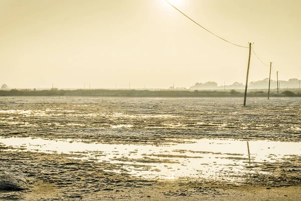 Campi salati vicino a Faro, Algarve, Portogallo — Foto Stock