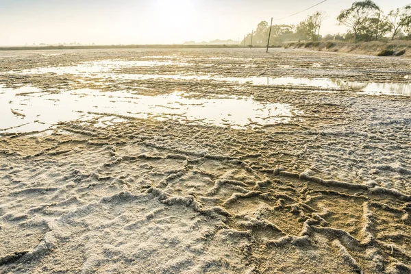 Campos de sal junto a Faro, Algarve, Portugal — Fotografia de Stock