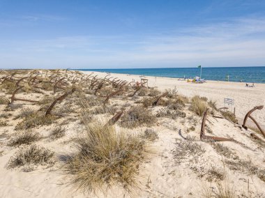 Barril Beach'teki çapalar, Algarve, Portekiz