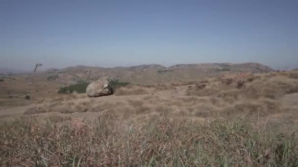 Eswatiniの丘の上に乾いた草を振ってください フラットプロファイルで撮影 — ストック動画