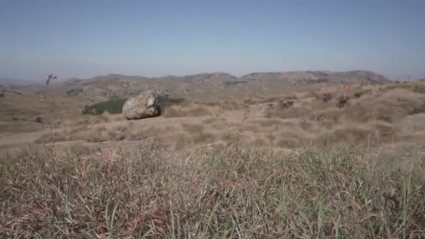 Eswatini Tepelerinde Kuru Otlar Sallıyordu Düz Profil Ile Çekilmiş — Stok video