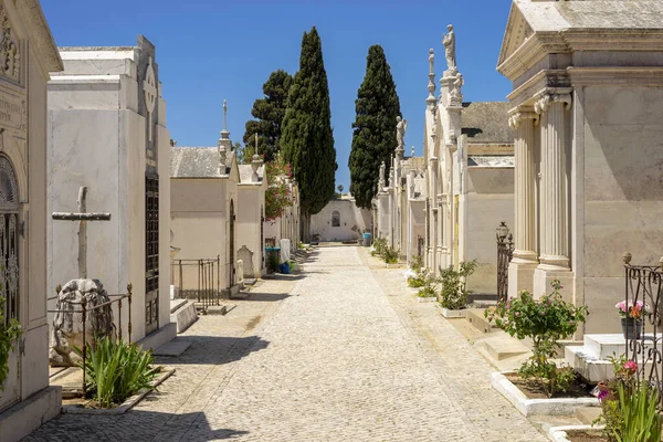 Callejón Soleado Cementerio Albufeira Algarve Portugal —  Fotos de Stock