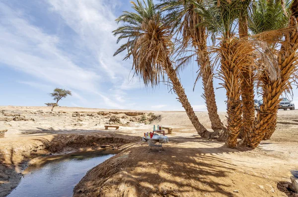 Oásis Com Palmeiras Sobremesa Saara Marrocos África — Fotografia de Stock