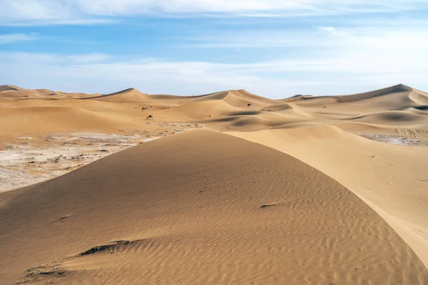 Bellissimo Paesaggio Dune Sabbia Cammelli Lontani Sul Deserto Del Sahara — Foto Stock