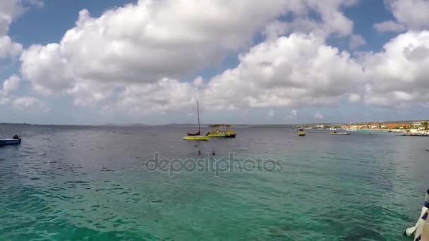 Bonaire kustlijn. Caribbean Cruise — Stockvideo