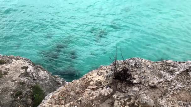 Niebieski Woda na Curacao — Wideo stockowe