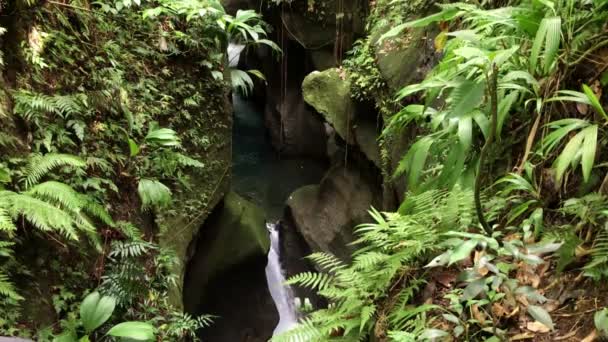 Dominica Titou Gorge — Stock video