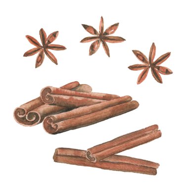 Watercolor cinnamon and star anise on a white background. Hand drawn illustration