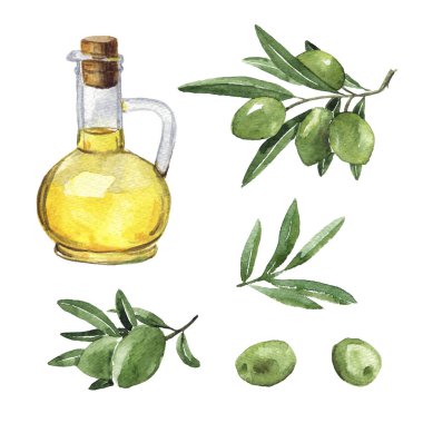 Bottle of olive oil and some olives on a white background. Watercolor picture. hand drawn isolated illustration