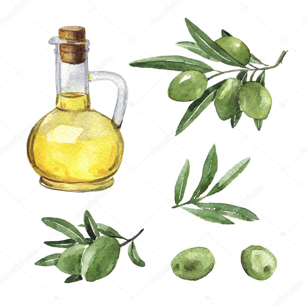 Bottle of olive oil and some olives on a white background. Watercolor picture. hand drawn isolated illustration