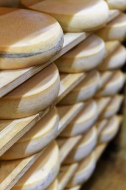 Süt mahzeni olgunlaşma gravyer Comte peynir yaşlanma