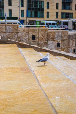 İngiltere'de East Sussex'deki / daki Brighton Brighton Savaş Anıtı