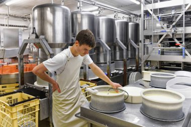 Cheesemaker peynir Gruyere de Comte formları süt koyar.