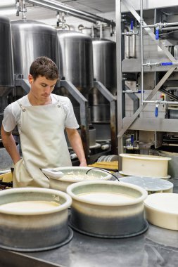 Cheesemaker peynir Gruyere de Comte formları süt koyar.