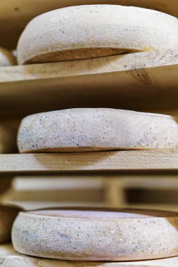 Comte yaşlanma mahzeni Franche süt olgunlaşması içinde peynir