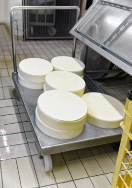 Comte peynir süt, özel formları