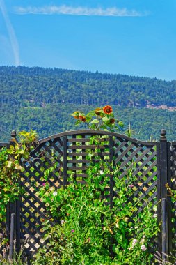 Yverdon İsviçre iç avluda, giriş kapısı