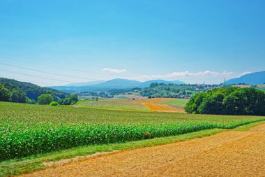 Jura Nord Vaudois Vaud İsviçre'nin Yverdon alanında