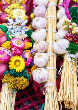 Sarmısakları renkli arka plan