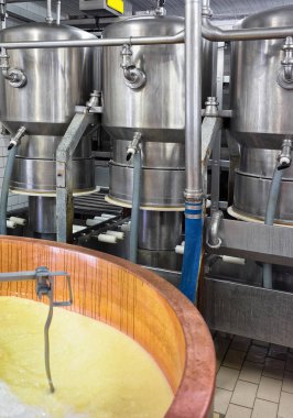 Gruyere de Comte peynir süt France adlı işleme