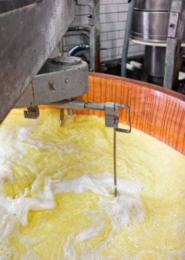 Gruyere de Comte peynir Fransa'nın süt işleme