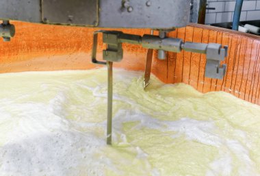 Gruyere de Comte sert peynir Fransa'nın süt işleme
