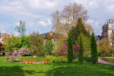 Lichtentaler Allee park in Baden Baden in Germany clipart