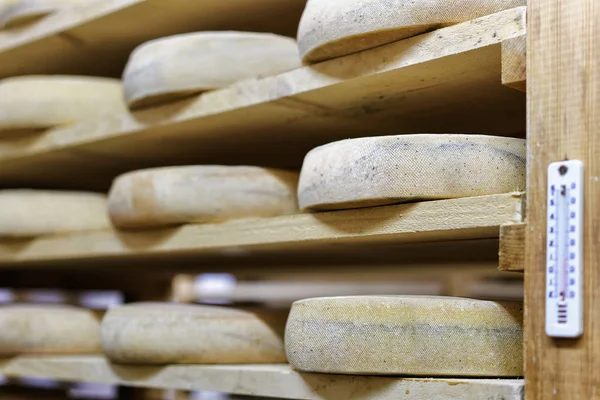フランシュ = の酪農 Comte の成熟のセラーでチーズを高齢化 — ストック写真