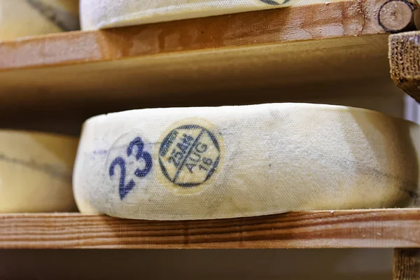 Veroudering kaas in het rijpen van de kelder Franche Comte zuivel — Stockfoto