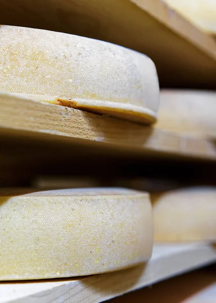 Veroudering van de kaas in het rijpen creamery van de kelder Franche Comte — Stockfoto