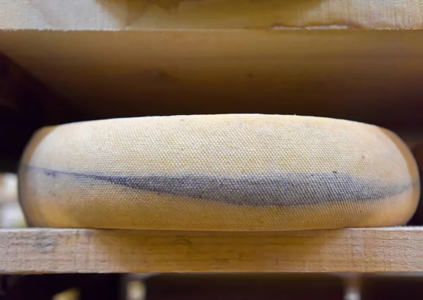Veroudering kaas in de rijping van de kelder Franche Comte zuivel — Stockfoto