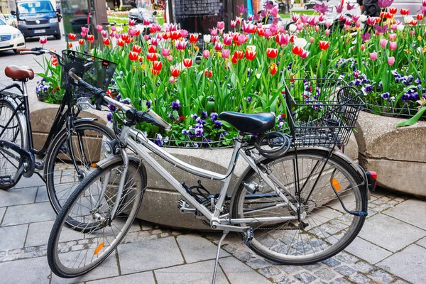 Kerékpár- és utcai virágágyásba, a virágzó virágok, München Németország — Stock Fotó