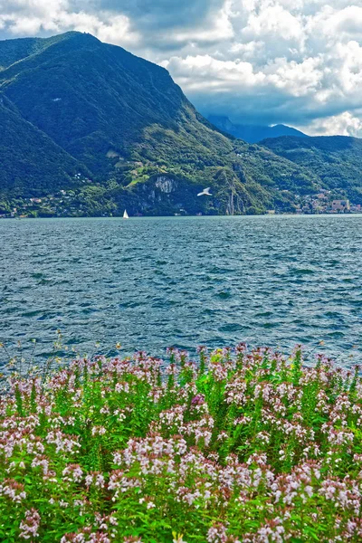 Botanical garden at promenade in Lugano in Ticino Switzerland — Stock Photo, Image