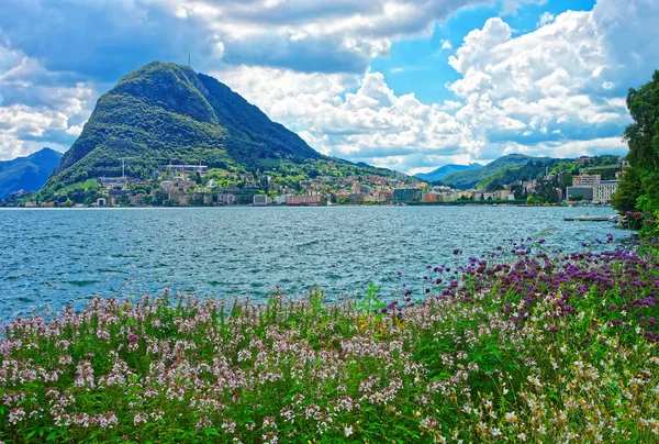 Botanical garden at promenade in Lugano of Ticino Switzerland — Stock Photo, Image