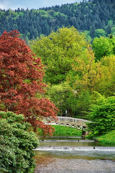 Bridge och floden i Lichtentaler Allee park i Baden Baden — Stockfoto