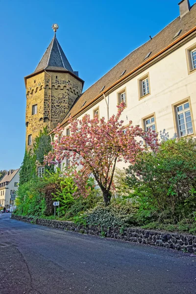 Castle in Linz am Rhein in Germany — Stock Fotó