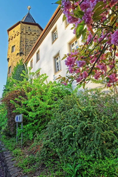 Schloss in linz am rhein — Stockfoto