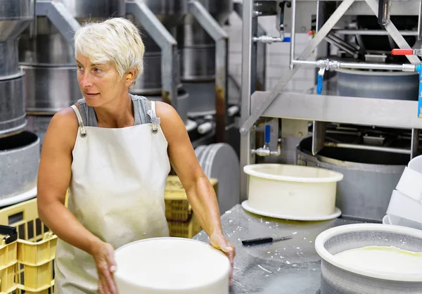 Fabricante de queijo colocando o jovem queijo Comte em formas em laticínios — Fotografia de Stock