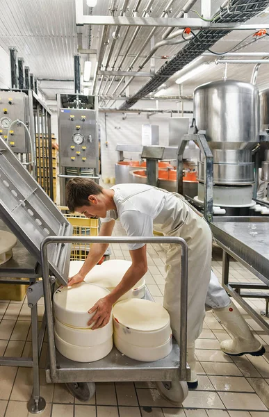 Formaggio-maker mettendo Gruyere Comte Cheese in forme a latticini — Foto Stock