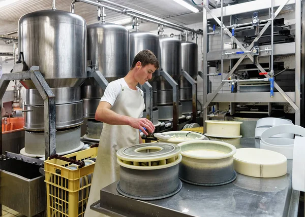 Cheesemaker mette Gruyere de Comte Cheese in forme in latticini — Foto Stock