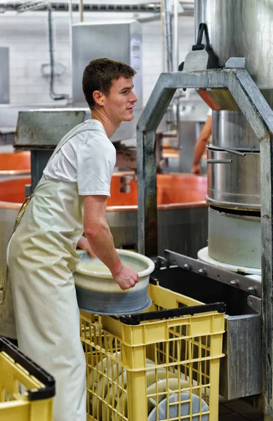 Cheesemaker mette Gruyere de Comte Cheese in forme a latticini — Foto Stock