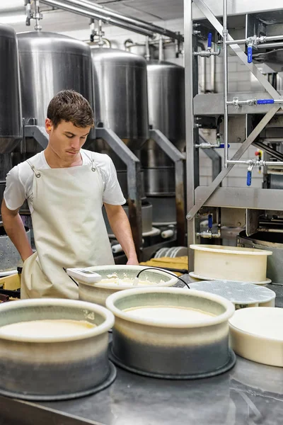 Kaasproducent zet Gruyere de Comte kaas in formulieren zuivel — Stockfoto