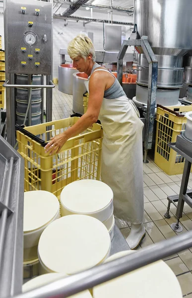 Cheesemaker pondo Gruyere Comte Queijo em formas em laticínios — Fotografia de Stock