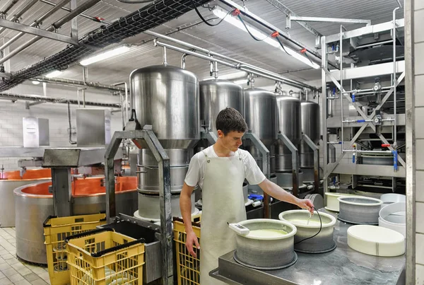 Cheesemaker putting Gruyere Comte Cheese in forms in dairy — Stock Photo, Image