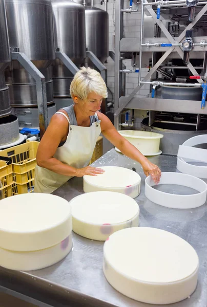 Caseificio mettere Gruyere de Comte Formaggio in forme in latticini — Foto Stock