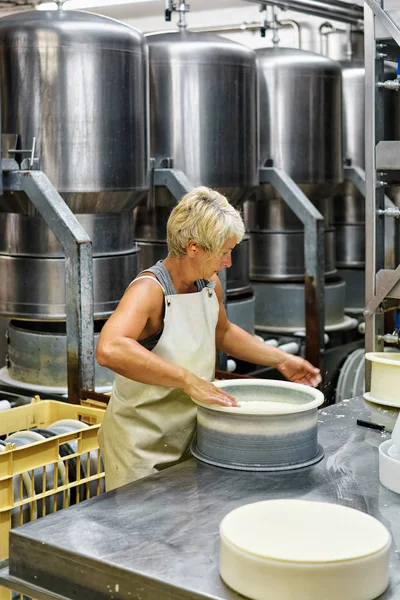 Queijeiro colocando queijo jovem Comte em formas de laticínios — Fotografia de Stock